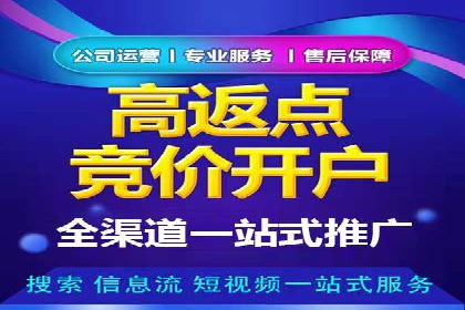 SEM广告投放中的数据监控与调整策略——以某品牌营销案例为例